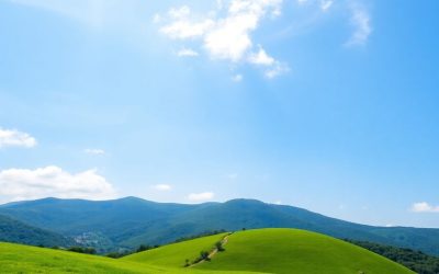 Bluthochdruck natürlich senken